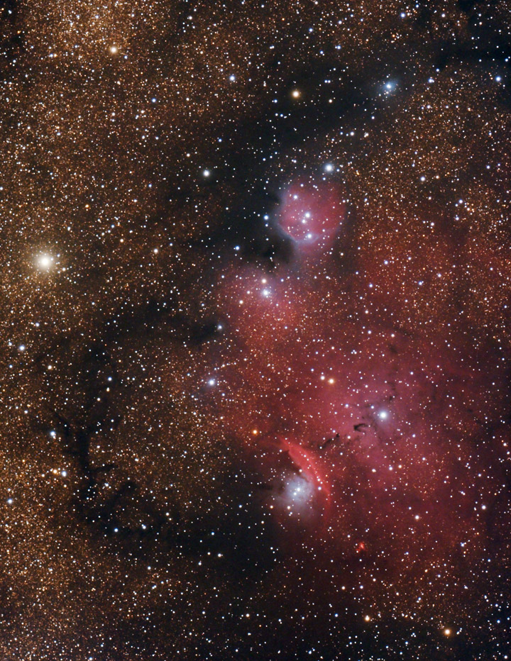 Nebulosity in Sagittarius