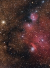 NGC 6559 Nebula