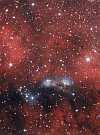 Reflection Nebula in Cygnus